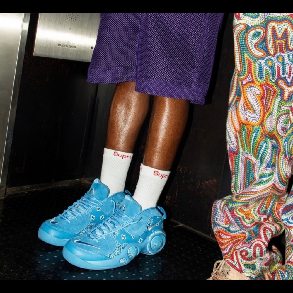 Supreme Nike Zoom Air Flight 95